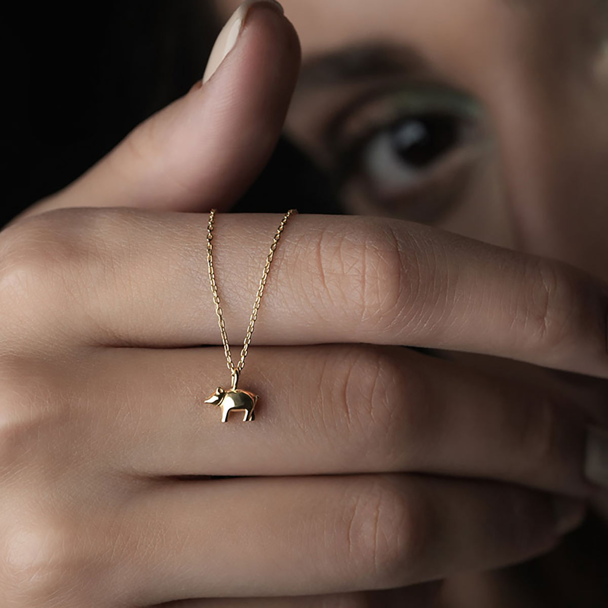 گردنبند  کد NM340