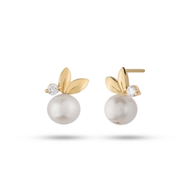 گوشواره  کد E352